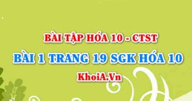 Bài 1 trang 19 SGK Hoá 10 Chân trời sáng tạo